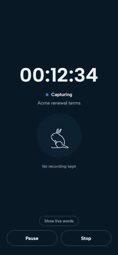 Wallaby capturing a meeting